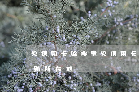 欠信用卡躲哪里(欠信用卡的錢會(huì)到所在地)