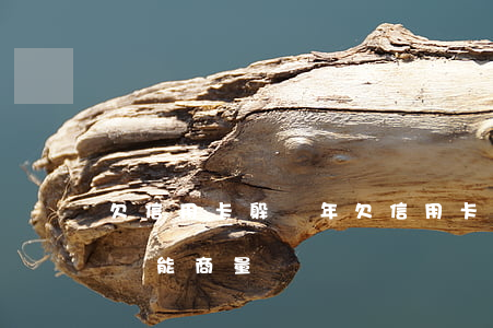 欠信用卡躲幾年(欠信用卡幾年沒(méi)還能商量嗎)