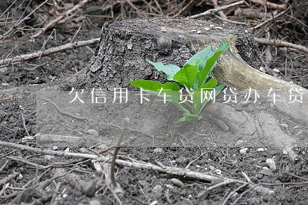 欠信用卡车贷网贷(办车贷信用卡有欠款)