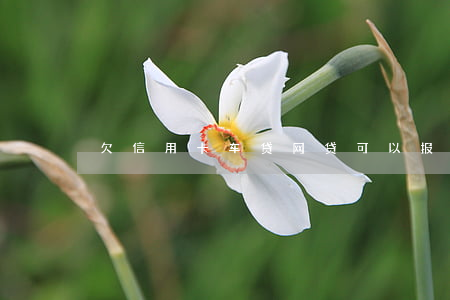 欠信用卡车贷网贷可以报警吗