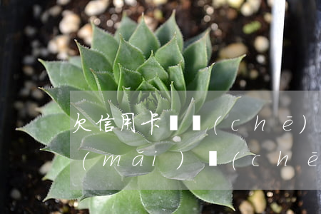 欠信用卡辦車(chē)貸能查到嗎(貸款買(mǎi)車(chē)查不查信用卡欠款)