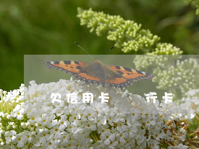 欠信用卡辦銀行卡嗎