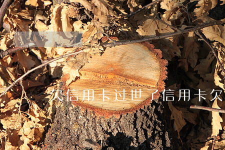 欠信用卡过世了（信用卡欠持卡人过世）