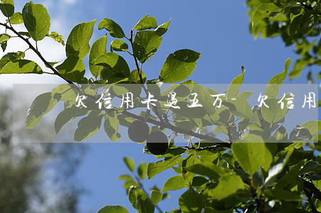 欠信用卡过五万-欠信用卡过五万会坐牢吗
