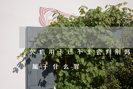 欠信用卡还不上会判刑吗（欠信用卡钱还不上属于什么罪）