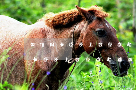 欠信用卡还不上会牵连老婆孩子吗-欠信用卡还不上会牵连老婆孩子吗知乎
