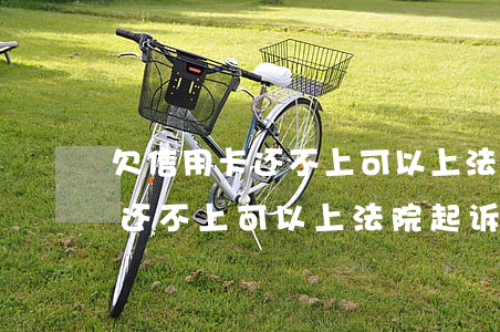 欠信用卡还不上可以上法院起诉-欠信用卡还不上可以上法院起诉吗
