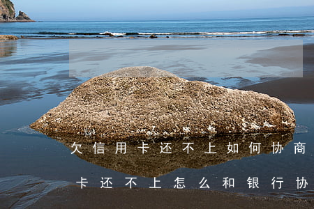 欠信用卡还不上如何协商停息挂账-欠信用卡还不上怎么和银行协商