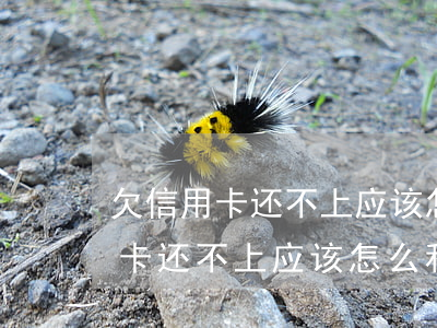 欠信用卡还不上应该怎么和银行说-欠信用卡还不上应该怎么和银行说还款