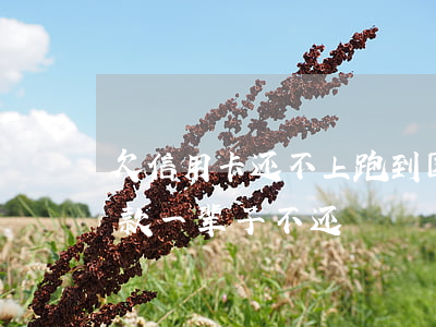 欠信用卡还不上跑到国外去了(国外信用卡欠款一辈子不还)