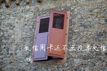 欠信用卡还不出投案(欠信用卡不还报警有用吗)