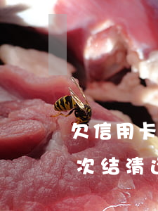 欠信用卡还不起一次还一点可以吗?（信用卡一次结清还不起）
