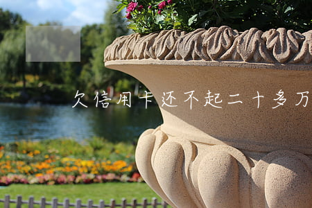 欠信用卡还不起二十多万怎么办-