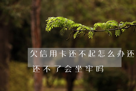 欠信用卡还不起怎么办还可以吗-欠信用卡还不了会坐牢吗