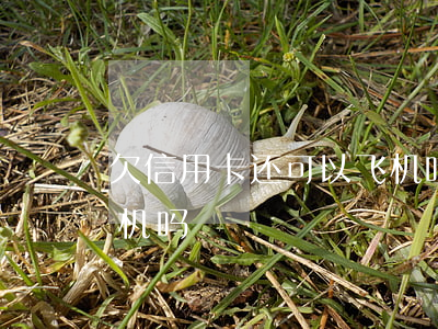 欠信用卡还可以飞机吗(欠信用卡的人能坐飞机吗)