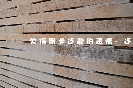 欠信用卡还款的表情-还信用卡的幽默句子