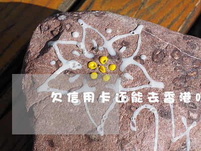 欠信用卡还能去香港吗(欠信用卡可以出国吗)