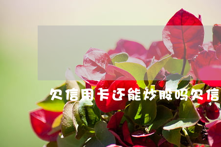 欠信用卡还能炒股吗(欠信用卡可以买理财吗)