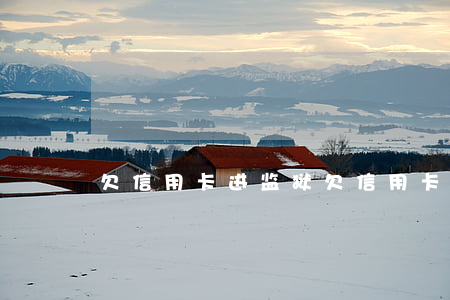 欠信用卡进监狱(欠信用卡进监狱有影响吗)