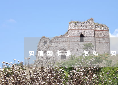 欠信用卡追債怎么辦(欠信用卡追債怎么辦)