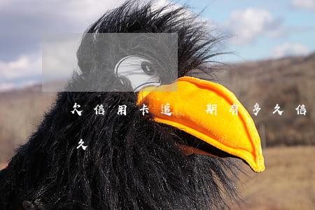欠信用卡追訴期有多久（信用卡逾期到起訴多久）