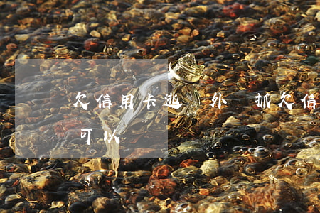 欠信用卡逃國外會抓(欠信用卡跑國外慢慢還可以嗎)
