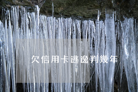 欠信用卡逃逸判幾年