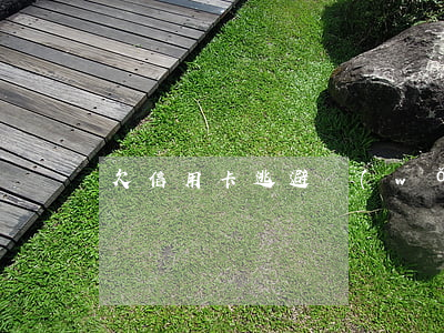 欠信用卡逃避網(wǎng)上通緝