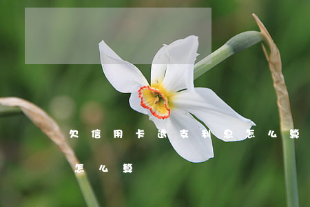 欠信用卡透支利息怎么算(欠信用卡透支利息怎么算)