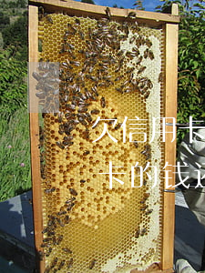 欠信用卡透支还不上怎么办(现在欠银行信用卡的钱还不上怎么办呀)