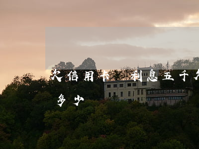 欠信用卡連利息五千(欠信用卡五萬元利息是多少)