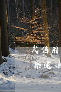 欠信用卡逮捕找不到人(2019欠信用卡警察逮捕流程)