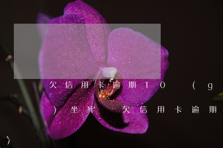 欠信用卡逾期10個(gè)月會(huì)坐牢嗎(欠信用卡逾期10個(gè)月會(huì)坐牢嗎)