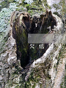 欠信用卡逾期10萬(wàn)元會(huì)的被判刑嗎（信用卡逾期10萬(wàn)銀行會(huì)報(bào)經(jīng)偵嗎）