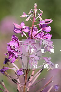 欠信用卡逾期13萬起訴時(shí)間-欠信用卡三千塊逾期遭起訴