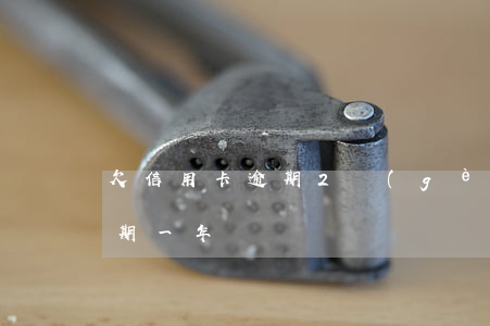欠信用卡逾期2個(gè)多月(欠信用卡逾期一年)