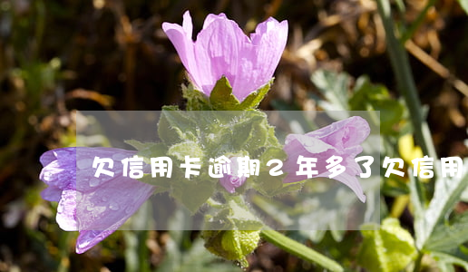 欠信用卡逾期2年多了 欠信用卡兩年了
