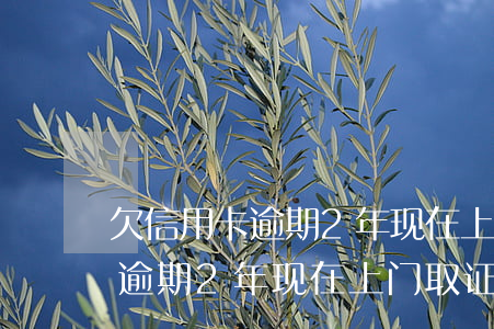 欠信用卡逾期2年现在上门取证-欠信用卡逾期2年现在上门取证可以吗