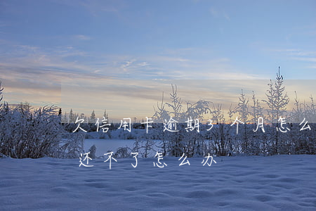 欠信用卡逾期3个月怎么办(欠信用卡三个月还不了怎么办)