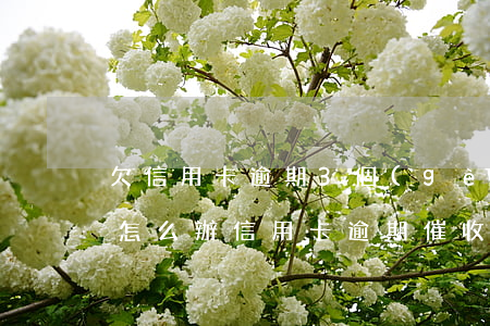 欠信用卡逾期3個(gè)月以上,銀行催收怎么辦?（信用卡逾期催收多少次）