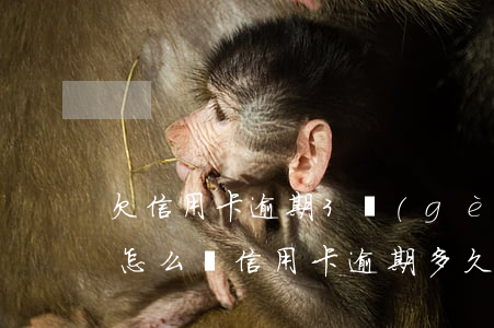 欠信用卡逾期3個(gè)月以上,銀行催收怎么辦?（信用卡逾期多久會(huì)被銀行催款嗎）