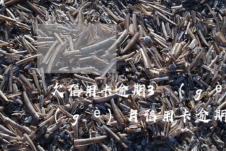 欠信用卡逾期3個(gè)月能分期嗎(三個(gè)月信用卡逾期后果)