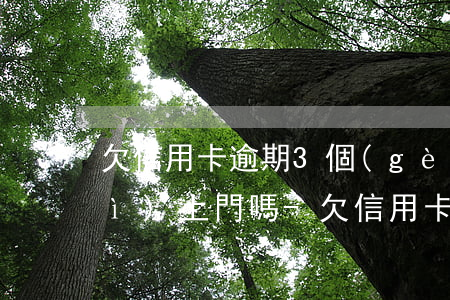 欠信用卡逾期3個(gè)月銀行會(huì)上門嗎-欠信用卡逾期3個(gè)月銀行會(huì)上門嗎怎么辦