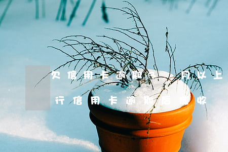 欠信用卡逾期3個月以上,銀行催收怎么辦?（中行信用卡逾期后催收）