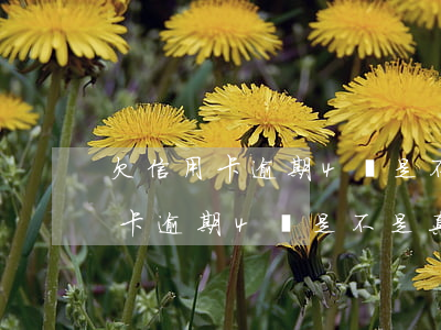 欠信用卡逾期4萬是不是真的坐牢-欠信用卡逾期4萬是不是真的坐牢了