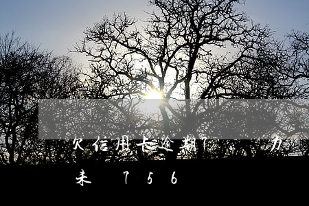 欠信用卡逾期7萬無力償還（信用卡逾期半年未還756億）