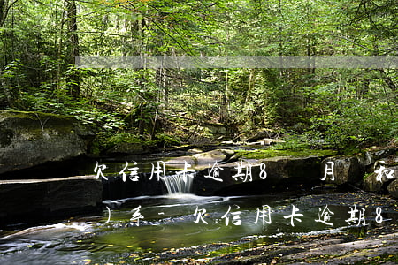 欠信用卡逾期8個月沒和銀行聯(lián)系-欠信用卡逾期8個月沒和銀行聯(lián)系怎么辦