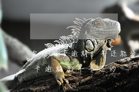 欠信用卡逾期8年还能分期还吗 有没有信用卡逾期几年不还的