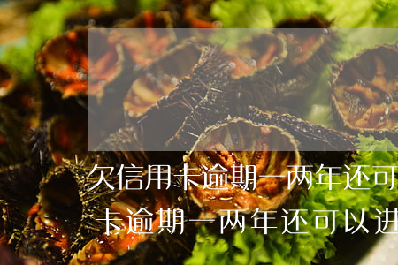 欠信用卡逾期一两年还可以进厂吗-欠信用卡逾期一两年还可以进厂吗有影响吗