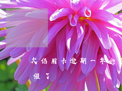 欠信用卡逾期一年会怎样（信用卡逾期一年不催了）